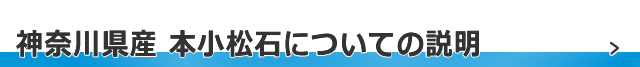 神奈川県産 本小松石についての説明